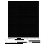 Report example-04