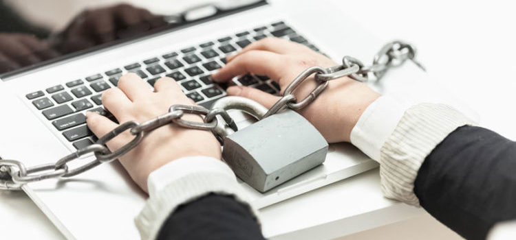 авторское право, интернет